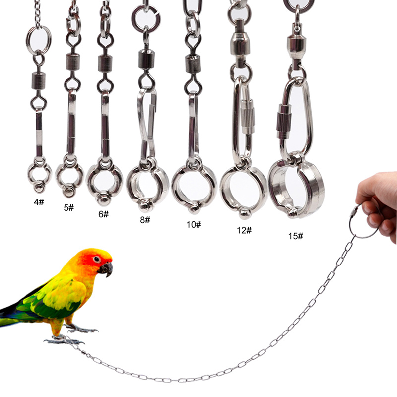 Anklet Foot Chain - Roestvrijstalen papegaaienbeenring met ketting Vogel Enkel