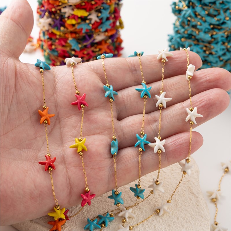 1Meter Rvs Zeester Turquoise K - Anklet Foot Chain recensie en prijs