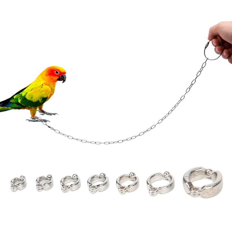 Roestvrijstalen papegaaienbeen - Anklet Foot Chain recensie en prijs